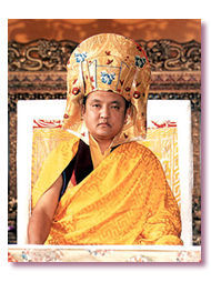 The 14th Shamarpa Mipam Chökyi Lodrö 